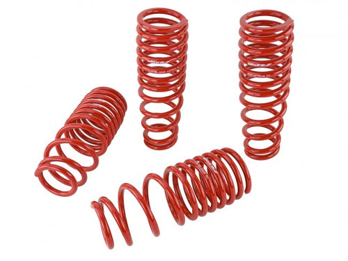 Skunk2 Performance Lowering Springs - Honda Civic (1992-1995) & Del Sol (1993-1997)