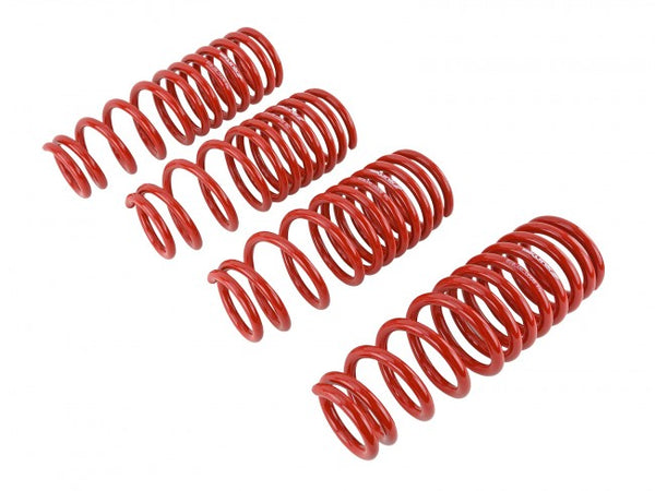 Skunk2 Performance Lowering Springs - Honda Civic (1996-2000)