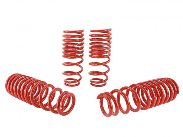 Skunk2 Performance Lowering Springs - Honda Civic (1996-2000)