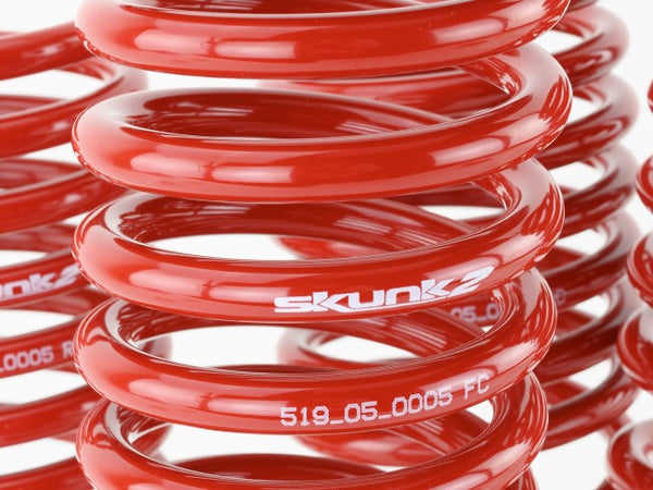 Skunk2 Performance Lowering Springs - Honda Civic (1996-2000)