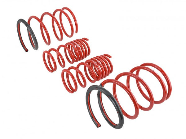 Skunk2 Performance Lowering Springs - Honda Civic Si EP3 Hatchback (2002-2005)