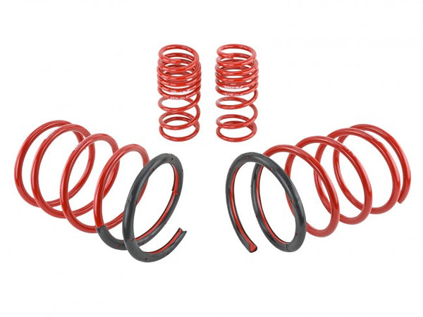 Skunk2 Performance Lowering Springs - Honda Civic Si EP3 Hatchback (2002-2005)