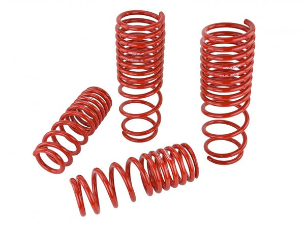 Skunk2 Performance Lowering Springs - Honda Accord (1990-1997)