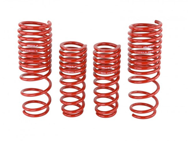 Skunk2 Performance Lowering Springs - Honda Accord (1990-1997)