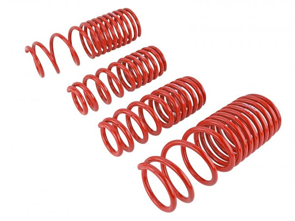 Skunk2 Performance Lowering Springs - Honda Accord (1990-1997)