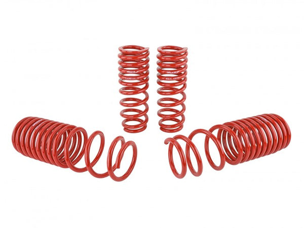 Skunk2 Performance Lowering Springs - Honda Accord (1990-1997)