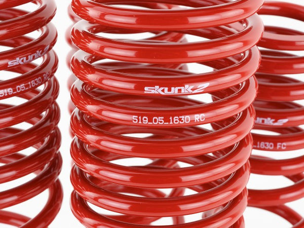 Skunk2 Performance Lowering Springs - Honda Accord (1990-1997)