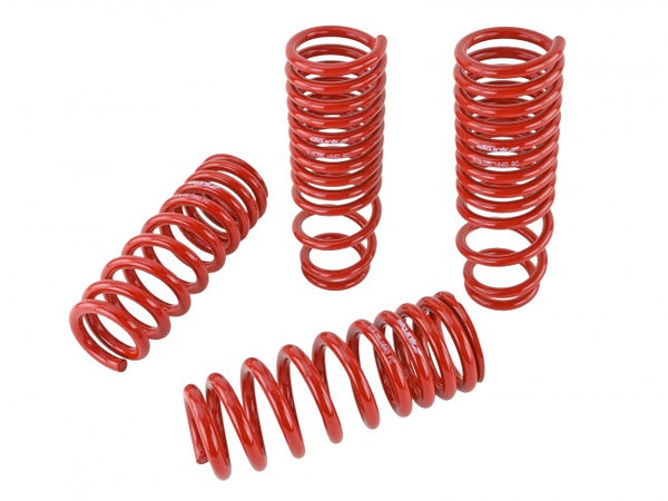 Skunk2 Performance Lowering Springs - Acura Integra DB (1990-1993)