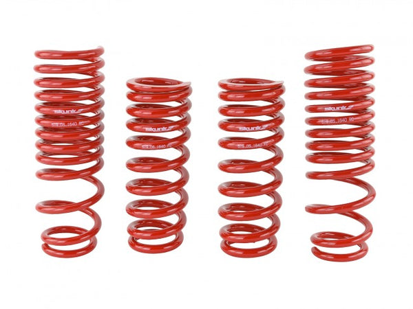 Skunk2 Performance Lowering Springs - Acura Integra DB (1990-1993)