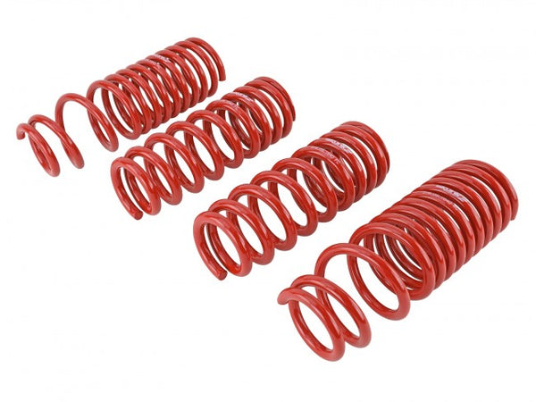 Skunk2 Performance Lowering Springs - Acura Integra DB (1990-1993)