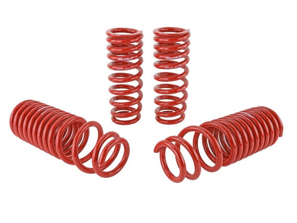 Skunk2 Performance Lowering Springs - Acura Integra DB (1990-1993)