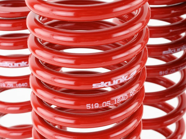 Skunk2 Performance Lowering Springs - Acura Integra DB (1990-1993)