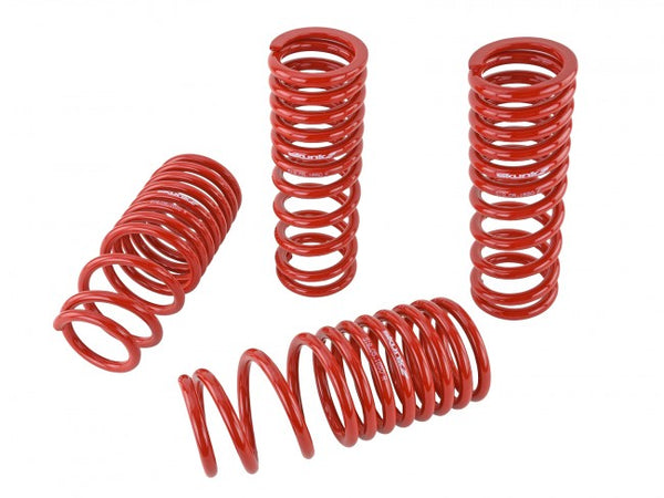 Skunk2 Performance Lowering Springs - Honda Civic & CRX (1988-1991)