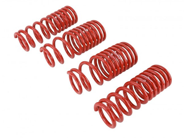 Skunk2 Performance Lowering Springs - Honda Civic & CRX (1988-1991)