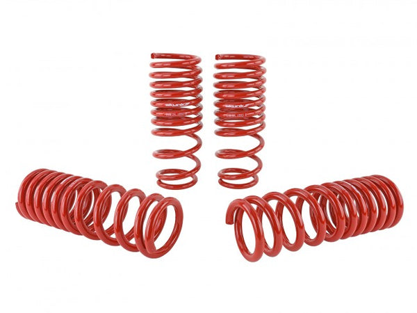 Skunk2 Performance Lowering Springs - Honda Civic & CRX (1988-1991)