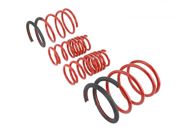 Skunk2 Performance Lowering Springs - Acura RSX & Type S (2002-2004)