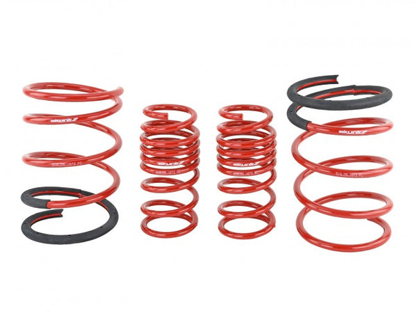 Skunk2 Performance Lowering Springs - Acura RSX & Type S (2005-2006)