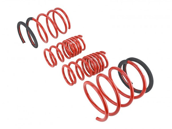 Skunk2 Performance Lowering Springs - Acura RSX & Type S (2005-2006)