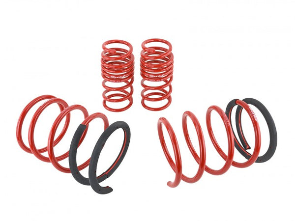 Skunk2 Performance Lowering Springs - Acura RSX & Type S (2005-2006)