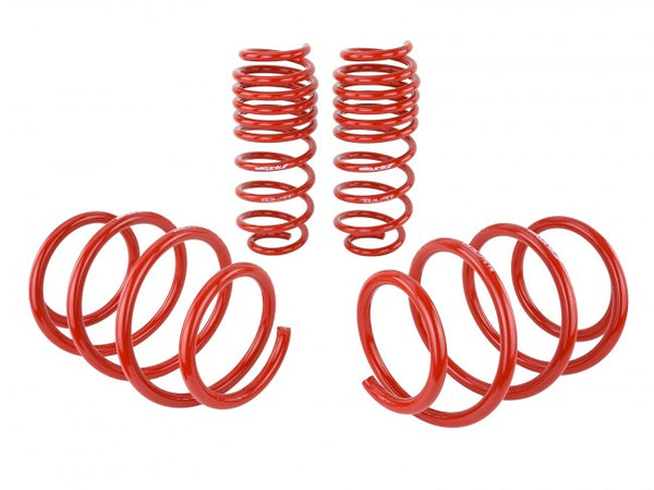 Skunk2 Performance Lowering Springs - Honda Civic & Si (2016-2021)