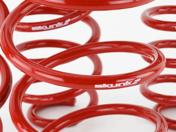 Skunk2 Performance Lowering Springs - Honda Civic & Si (2016-2021)