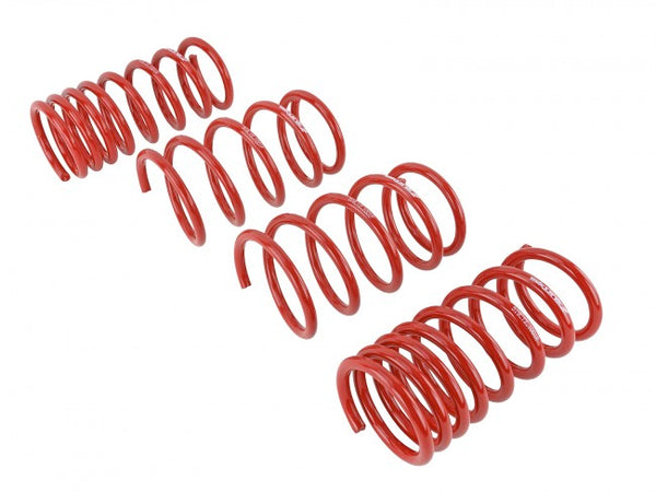 Skunk2 Performance Lowering Springs - Subaru BRZ (2013-2020)